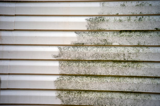 Moving and Downsizing Cleanouts in Pecatonica, IL